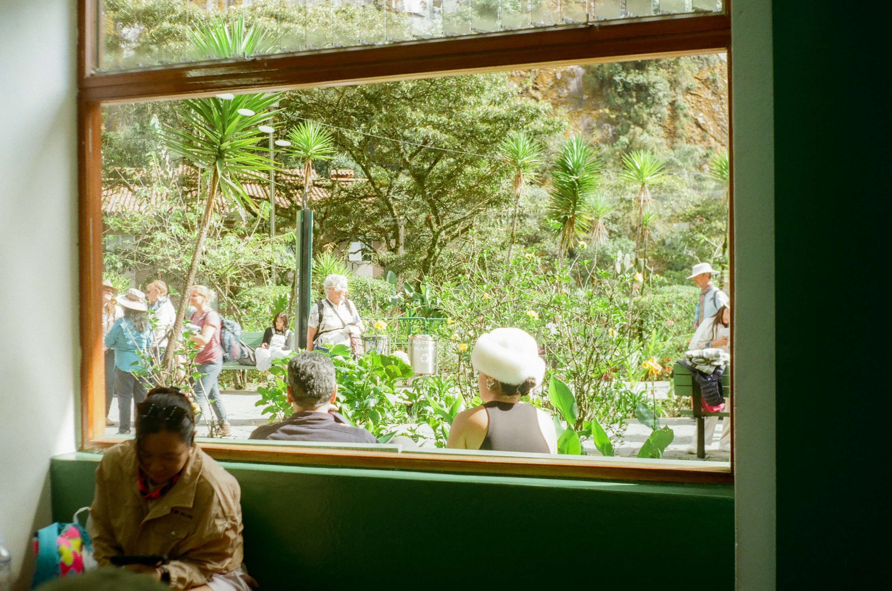 People sitting and walking in a sunlit courtyard filled with greenery, seen through a large window from inside a building in Oaxaca, Mexico
