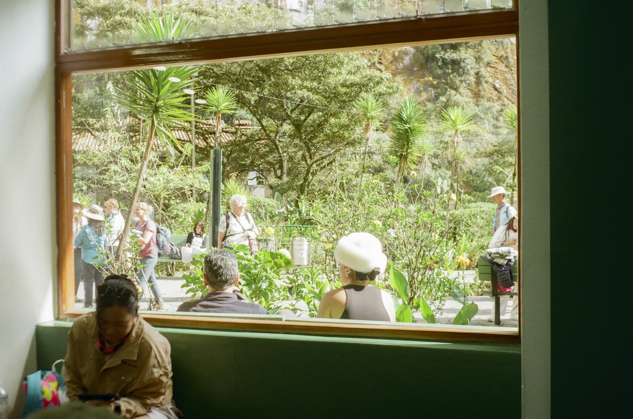 People sitting and walking in a sunlit courtyard filled with greenery, seen through a large window from inside a building in Oaxaca, Mexico
